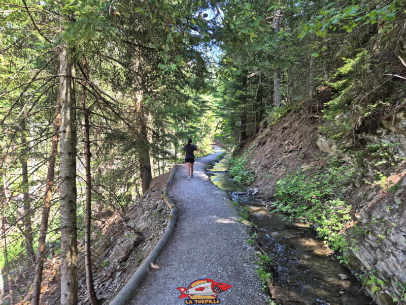Le bisse des Miriouges.