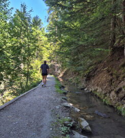 🚤🏞️ Bisse et Etang des Miriouges – Lens
