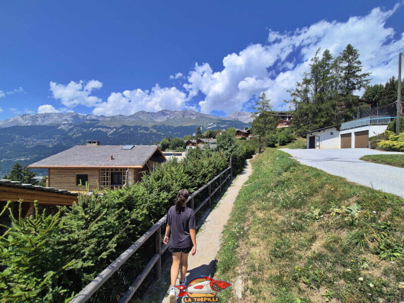 Montée du bisse - chalets