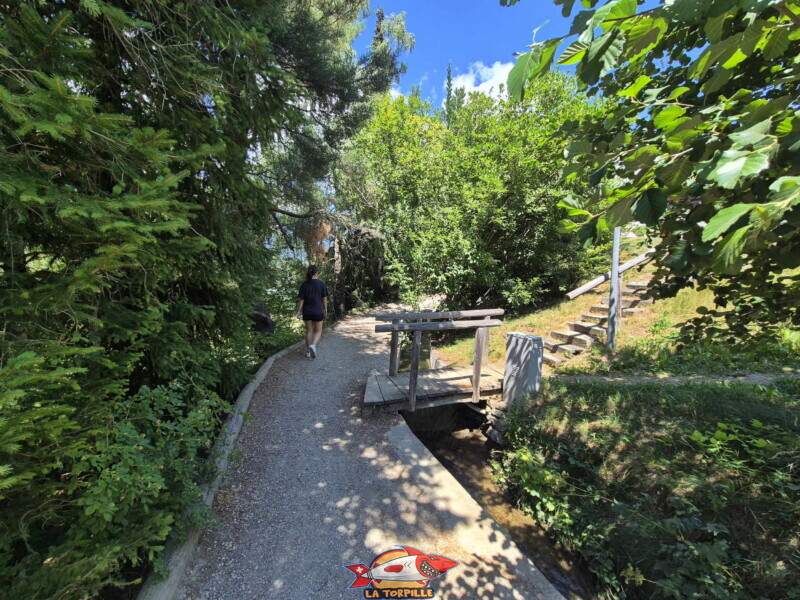 Montée du bisse - chalets