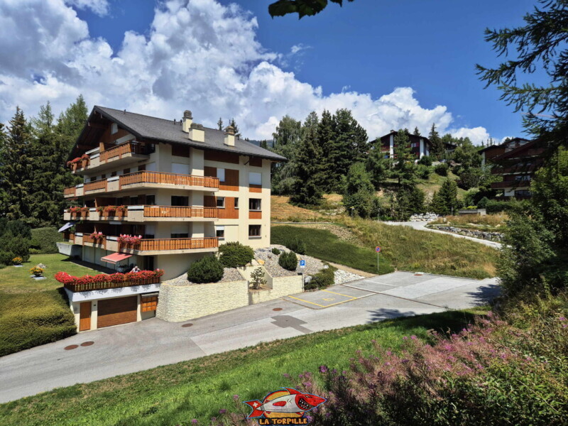 Montée du bisse - chalets