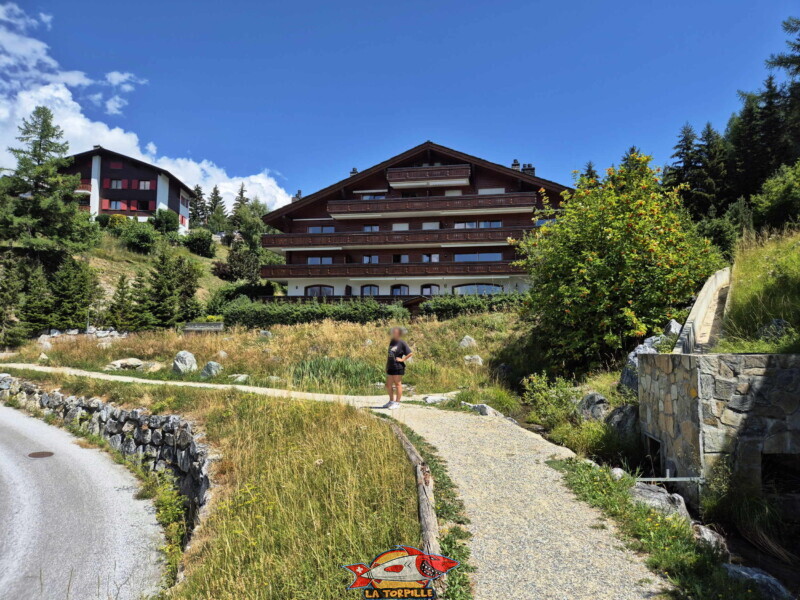 Montée du bisse - chalets
