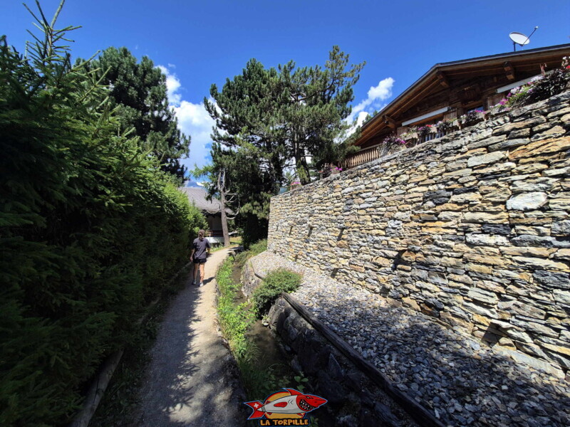 Montée du bisse - chalets