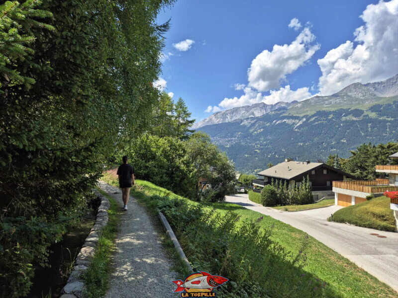 Descente du bisse des Miriouges – chalets
