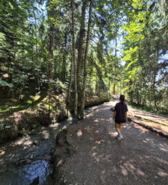 🚤🏞️ Bisse et Etang des Miriouges – Lens