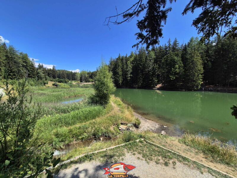 Lac des Miriouges - Côté Nord. L'endroit où le bisse s'écoule dans l'étang. Lac des Miriouges - Côté Nord. L'endroit où le bisse s'écoule dans l'étang.