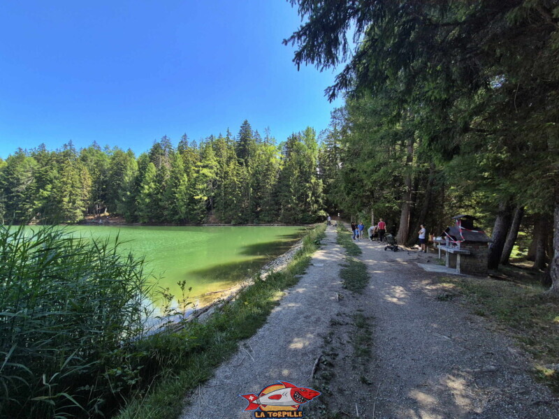 Lac des Miriouges - Côté Ouest. Lac des Miriouges - Côté Ouest.