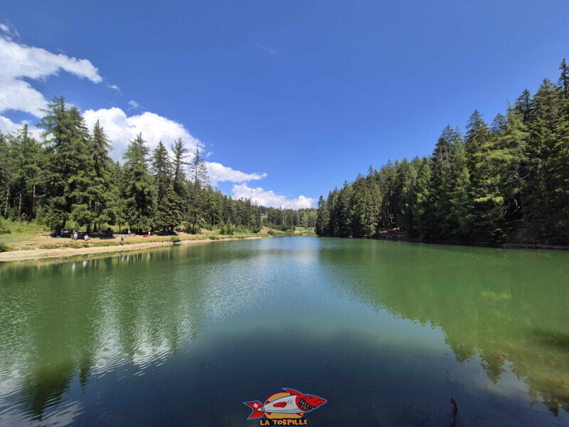 Lac des Miriouges -  Côté Ouest.