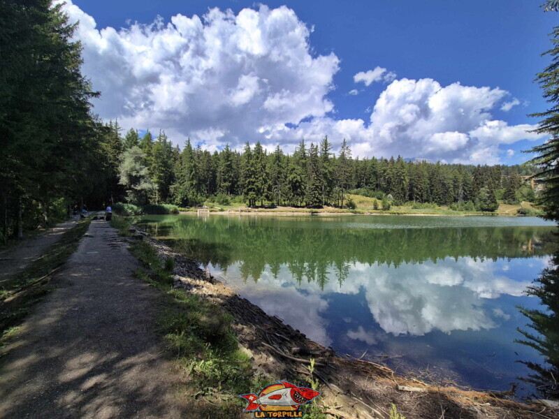 Lac des Miriouges -  Côté Ouest.