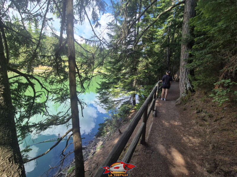 Lac des Miriouges - Côté Sud. Lac des Miriouges - Côté Sud.