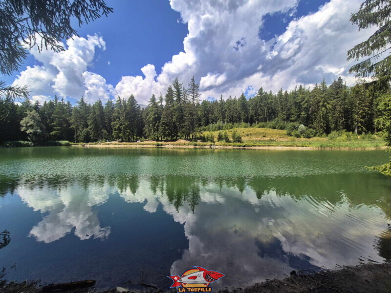 Lac des Miriouges -  Côté Sud.