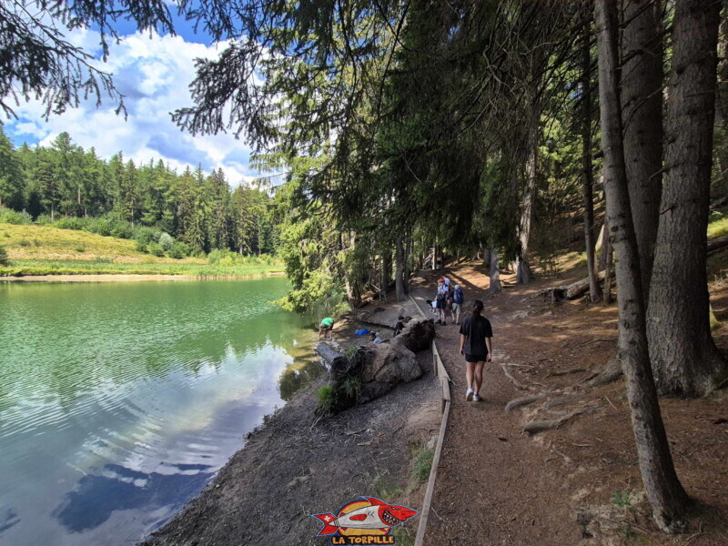 Lac des Miriouges -  Côté Sud.