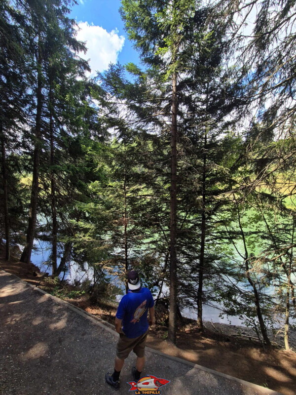 Lac des Miriouges -  Côté Sud.
