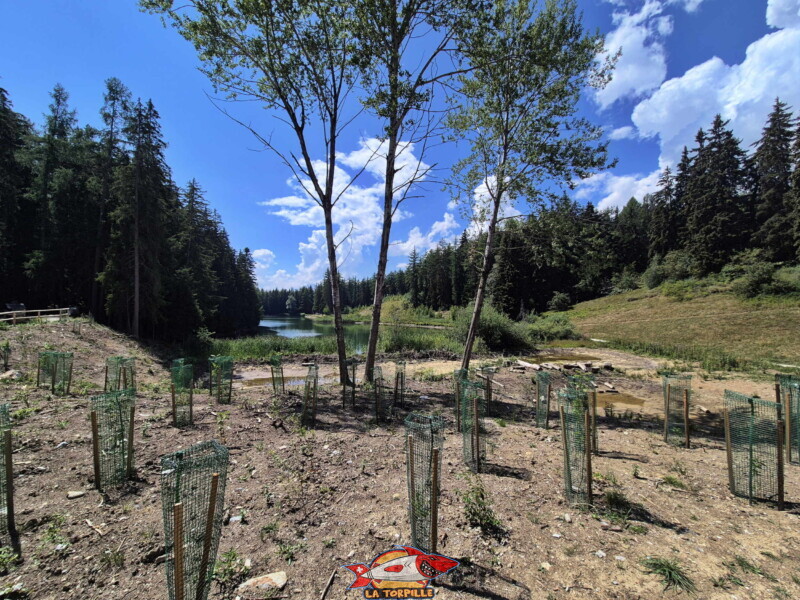 Lac des Miriouges -  Côté Est