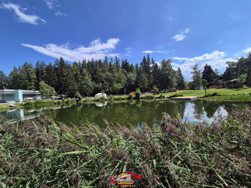 Côté Nord, étang d'Ycoor. Crans-Montana