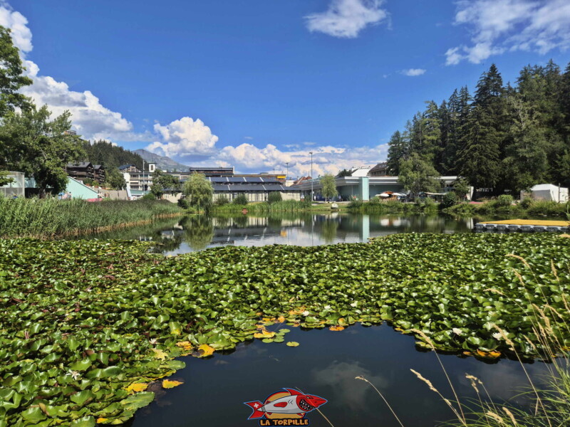 Côté Ouest, étang d'Ycoor. Crans-Montana