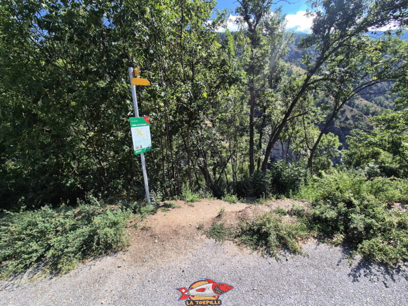 Le panneau avant de descendre à la passerelle. Il indique que les gorges de la Borgne constituent un site naturel protégé destiné à préserver une faune et une flore alpines particulièrement fragiles. Pour protéger cet écosystème, il est obligatoire de rester sur les sentiers balisés, de tenir les chiens en laisse, de ne pas faire de feu et de respecter le calme du lieu en évitant les drones. Le panneau avant de descendre à la passerelle. Il indique que les gorges de la Borgne constituent un site naturel protégé destiné à préserver une faune et une flore alpines particulièrement fragiles. Pour protéger cet écosystème, il est obligatoire de rester sur les sentiers balisés, de tenir les chiens en laisse, de ne pas faire de feu et de respecter le calme du lieu en évitant les drones. Tour des Passerelles, Val d'Hérens.