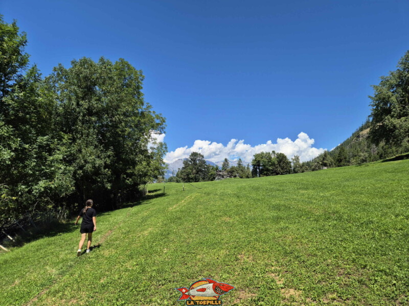 Le plateau d'Ossona. Tour des Passerelles, Val d'Hérens.