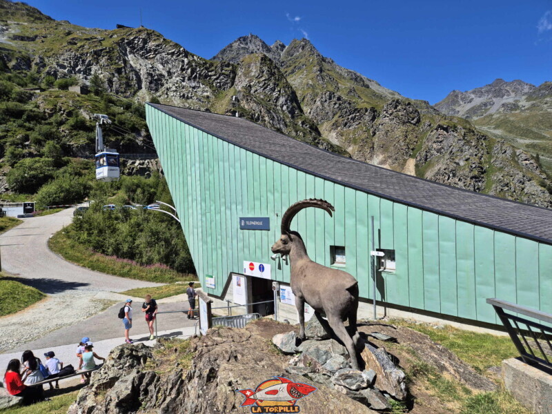 Un bouquetin, fréquent dans les environs, à côté de la station inférieur du téléphérique. Barrage de la Grande Dixence, Hérémence, canton du Valais. Un bouquetin, fréquent dans les environs, à côté de la station inférieure du téléphérique. Barrage de la Grande Dixence, Hérémence, canton du Valais.
