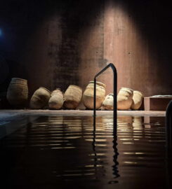 ⛲ Les Bains Publics – Martigny
