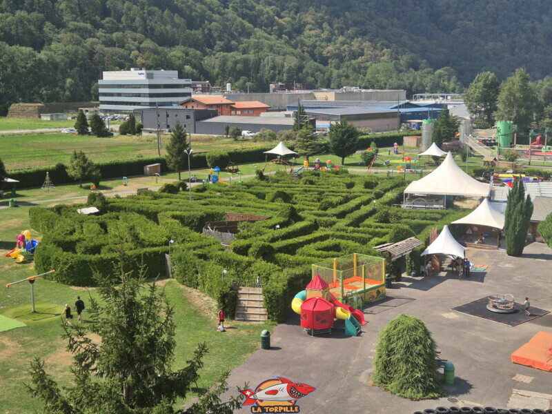 Une vue d'ensemble du labyrinthe en thuyas