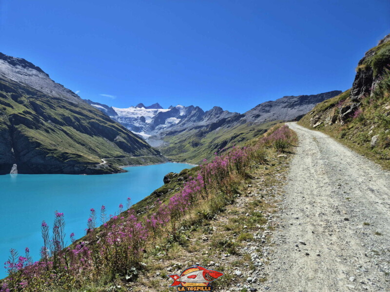 Rive gauche. Barrage et lac de Moiry, tour du lac, val d'Anniviers, Valais.