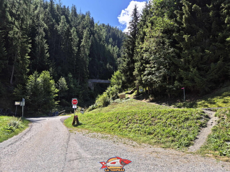 La première partie de la balade relie le parking au début du bisse. Bisse des Ravines - Bruson