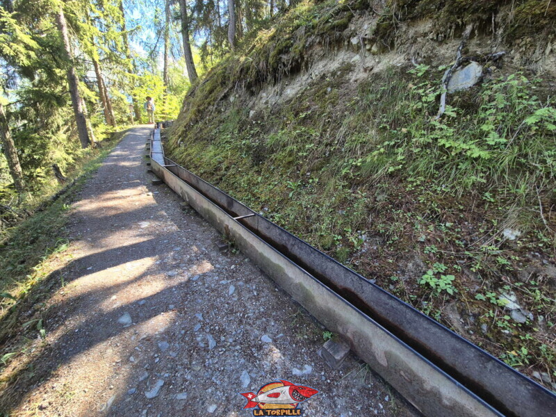 La première partie du bisse dans la forêt, du départ à la table d'orientation. Bisse des Ravines - Bruson.