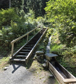 🏞️ Bisse des Ravines – Bruson
