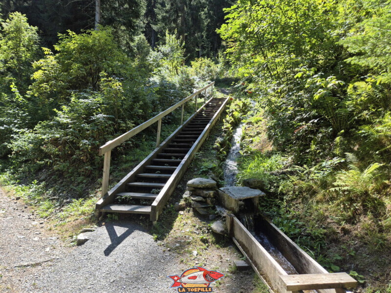 La première partie du bisse dans la forêt, du départ à la table d'orientation. Bisse des Ravines - Bruson.