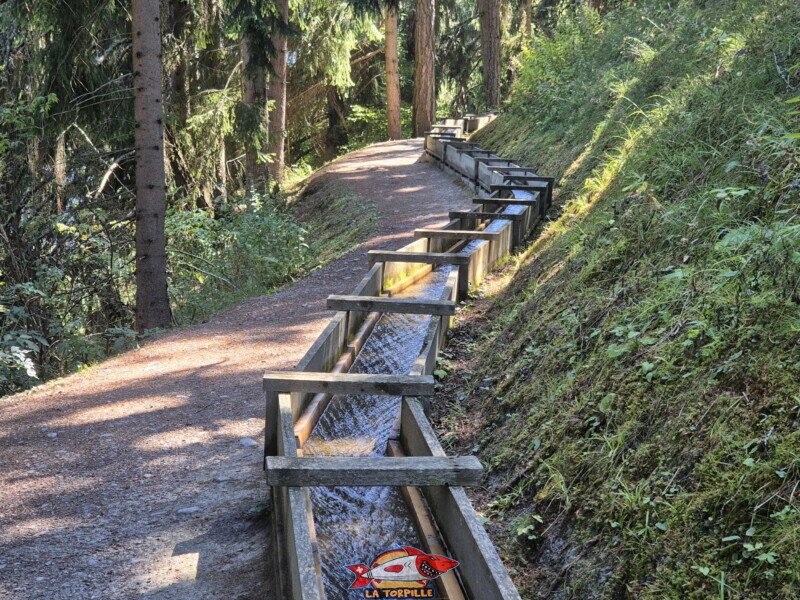 Le bisse dans la forêt ici canalisé. Bisse des Ravines - Bruson Le bisse dans la forêt ici canalisé. Bisse des Ravines - Bruson
