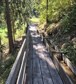 🏞️ Bisse des Ravines – Bruson