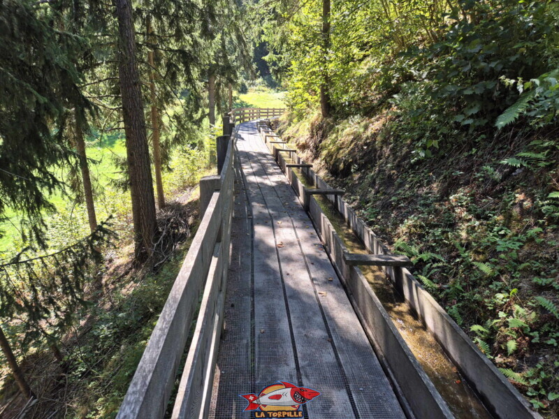 La première partie du bisse dans la forêt, du départ à la table d'orientation. Bisse des Ravines - Bruson.