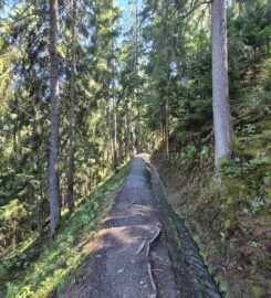 🏞️ Bisse des Ravines – Bruson