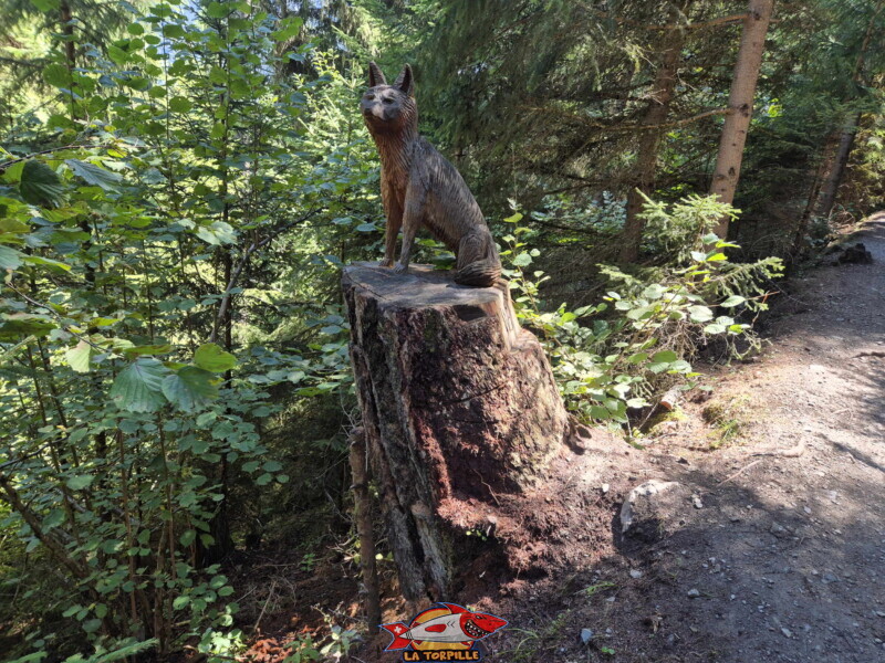 La première partie du bisse dans la forêt, du départ à la table d'orientation. Bisse des Ravines - Bruson.