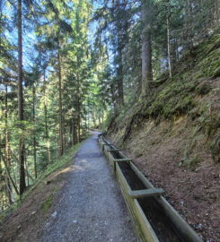 🏞️ Bisse des Ravines – Bruson