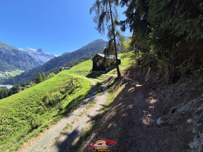 La première partie du bisse dans la forêt, du départ à la table d'orientation. Bisse des Ravines - Bruson.