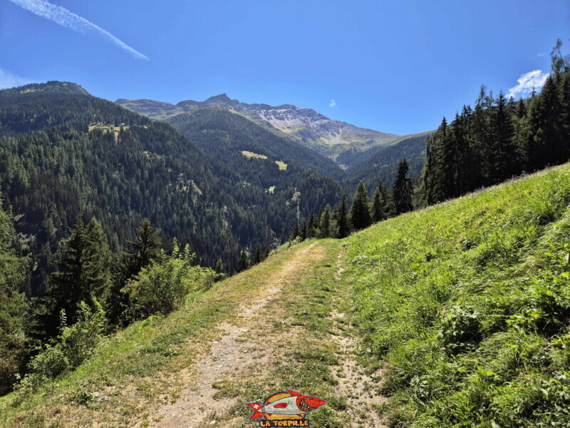 la deuxième partie le long du bisse se trouve dans la forêt entre la table d'orientation et l'ancien téléphérique Bisse des Ravines - Bruson.