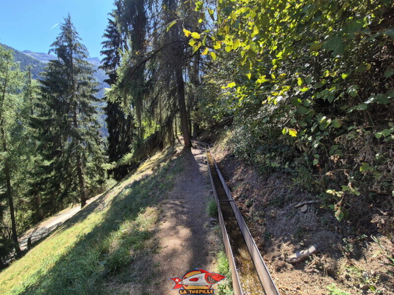 la deuxième partie le long du bisse se trouve dans la forêt entre la table d'orientation et l'ancien téléphérique Bisse des Ravines - Bruson.