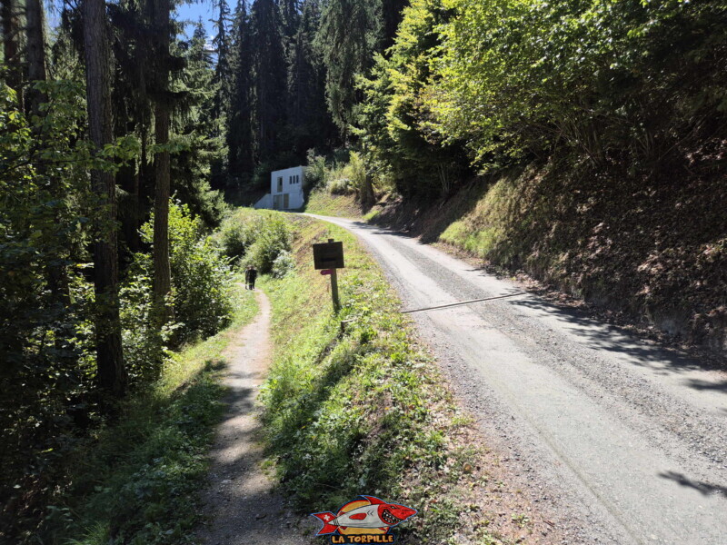 la deuxième partie le long du bisse se trouve dans la forêt entre la table d'orientation et l'ancien téléphérique. Bisse des Ravines - Bruson.
