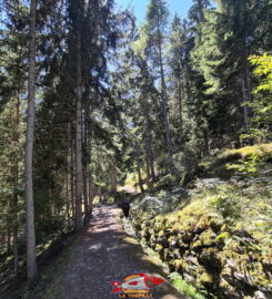 🏞️ Bisse des Ravines – Bruson