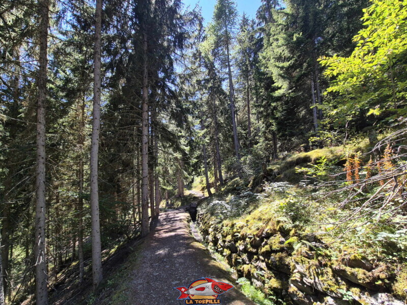 la deuxième partie le long du bisse se trouve dans la forêt entre la table d'orientation et l'ancien téléphérique. Bisse des Ravines - Bruson.