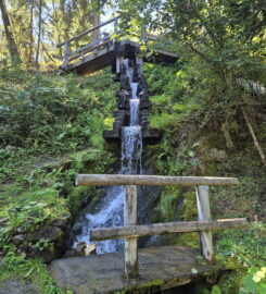 🏞️ Bisse des Ravines – Bruson