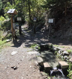 🏞️ Bisse des Ravines – Bruson