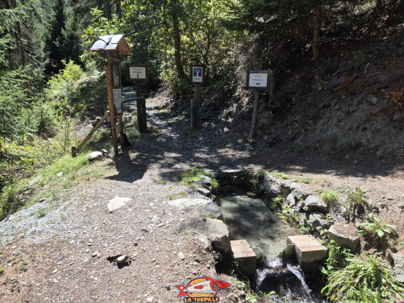 La fin du parcours le long du bisse. On remonte quelques mètres pour atteindre le téléphérique. La fin du parcours le long du bisse. On remonte quelques mètres pour atteindre le téléphérique. Bisse des Ravines - Bruson.