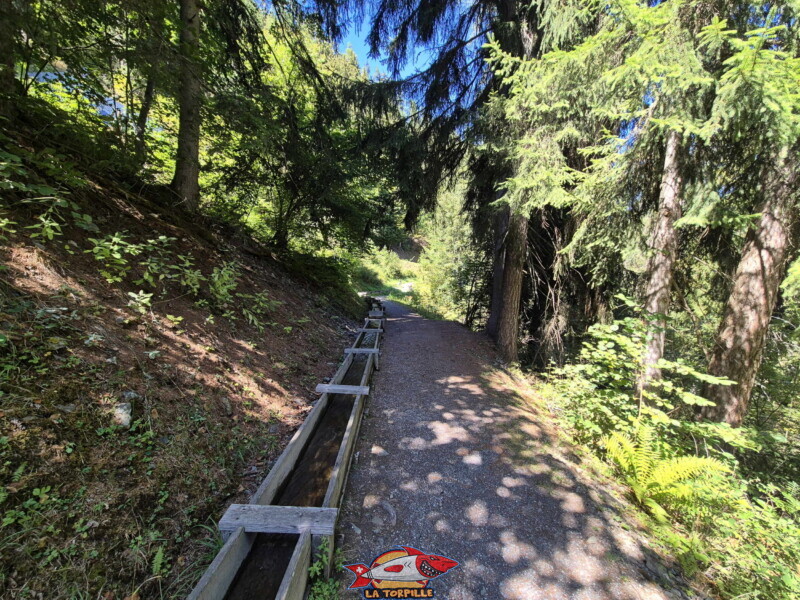 Le retour se fait par le même chemin qu'à l'aller. Bisse des Ravines - Bruson.