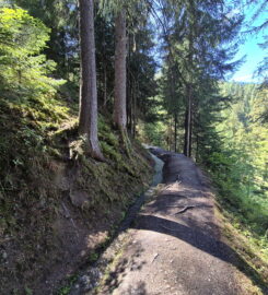 🏞️ Bisse des Ravines – Bruson