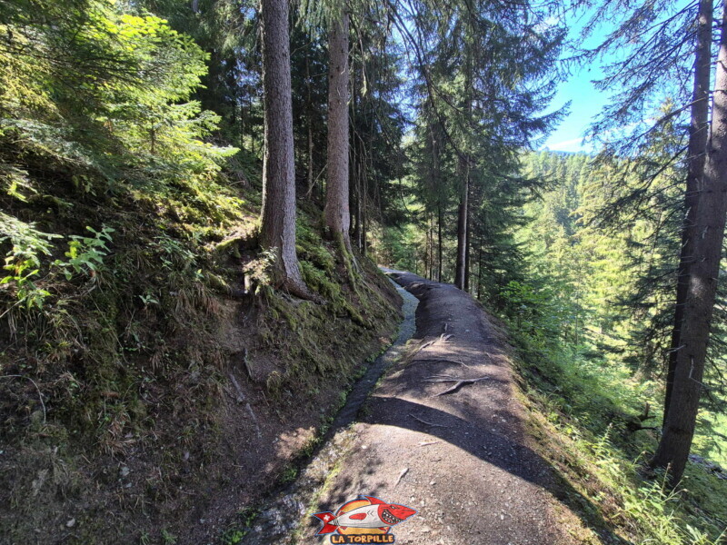 Le retour se fait par le même chemin qu'à l'aller. Bisse des Ravines - Bruson.