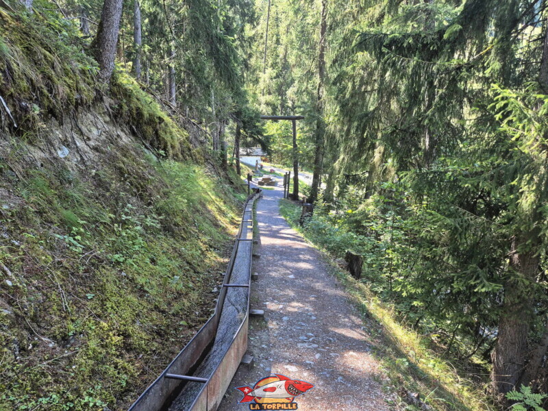 Le retour se fait par le même chemin qu'à l'aller. Bisse des Ravines - Bruson.