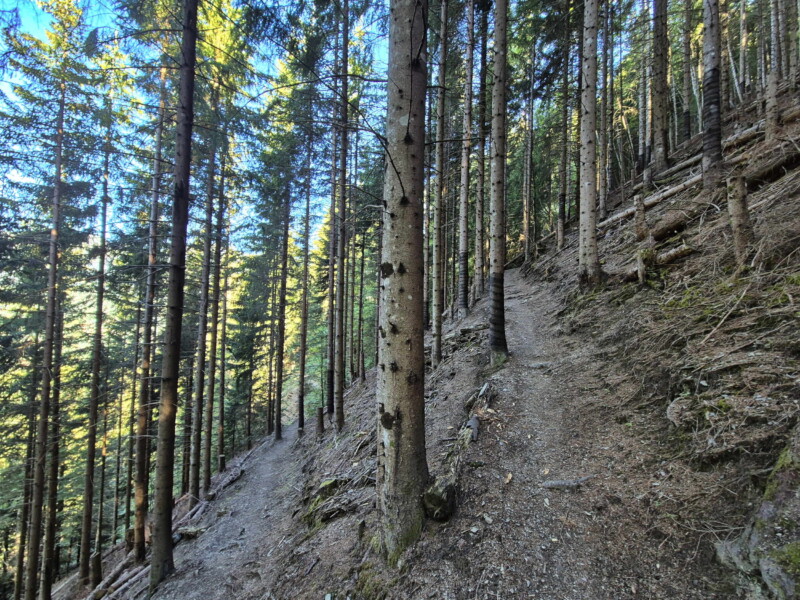 Montée Forêt. Lac de Soi, Val-d'Illiez, Bas-Valais.